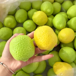 Color-Changing Lemon Squishy Toy – Handmade Crunchy ASMR Stress Relief Sensory Toy