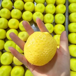 Color-Changing Lemon Squishy Toy – Handmade Crunchy ASMR Stress Relief Sensory Toy Product Image
