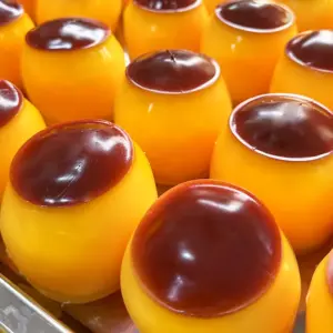 Crunchy Pudding Squishy Toy – Slow Rising Sensory Stress Relief Toy Product Image
