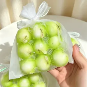 Two hands holding sheer white drawstring pouch with dark brown spherical squishies inside